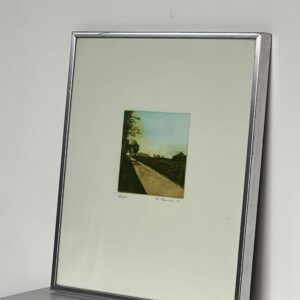 Framed Landscape Print
